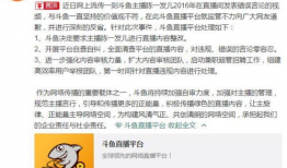 91直播平台是斗鱼吗还是抖音,揭秘其与斗鱼、抖音的关联之谜”